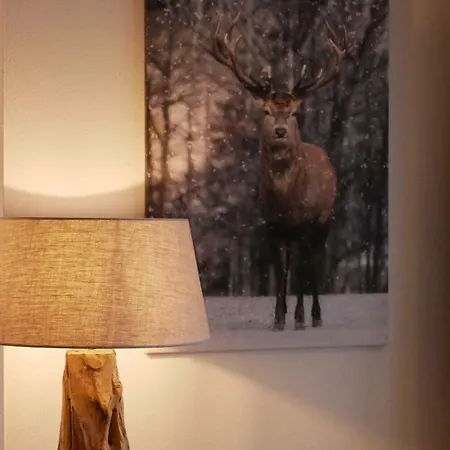 Maiskogel Апартаменти