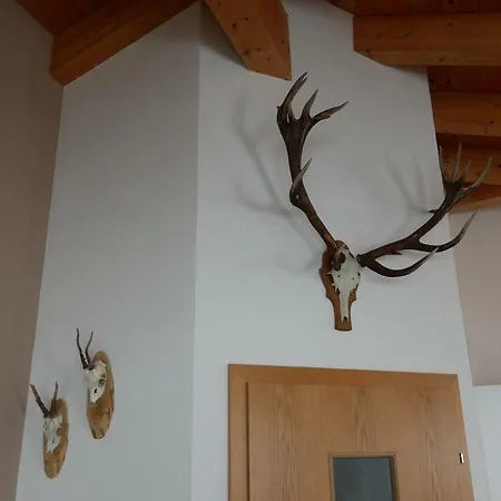 Апартаменти Maiskogel *