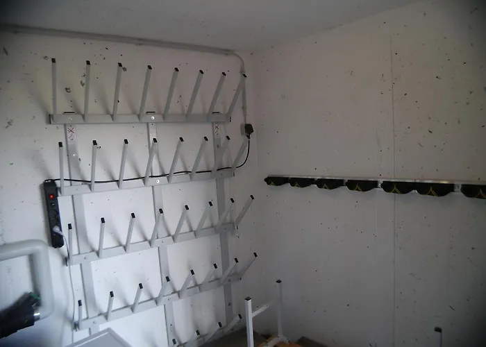 مايسكوغل كابرون