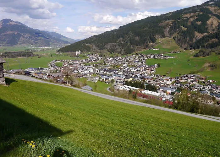 شقة مايسكوغل