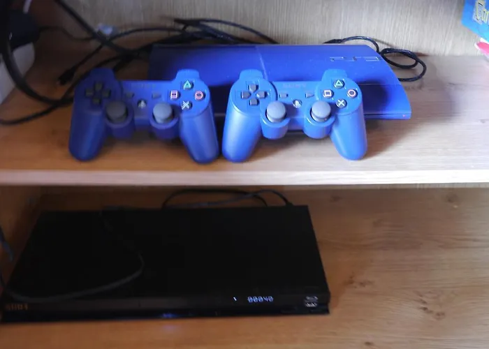 مايسكوغل شقة *