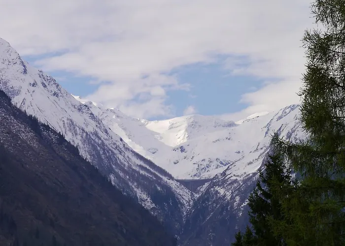 مايسكوغل شقة *