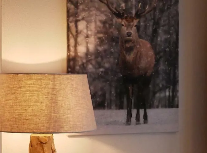 مايسكوغل شقة