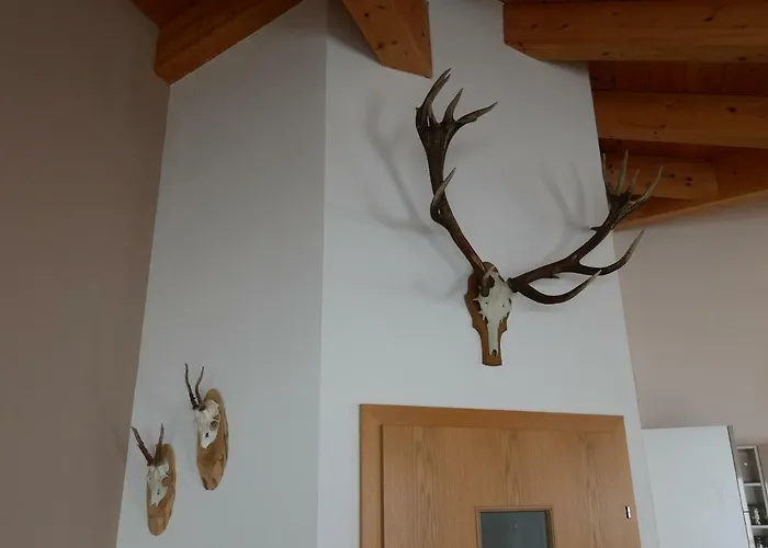 Διαμέρισμα Maiskogel *