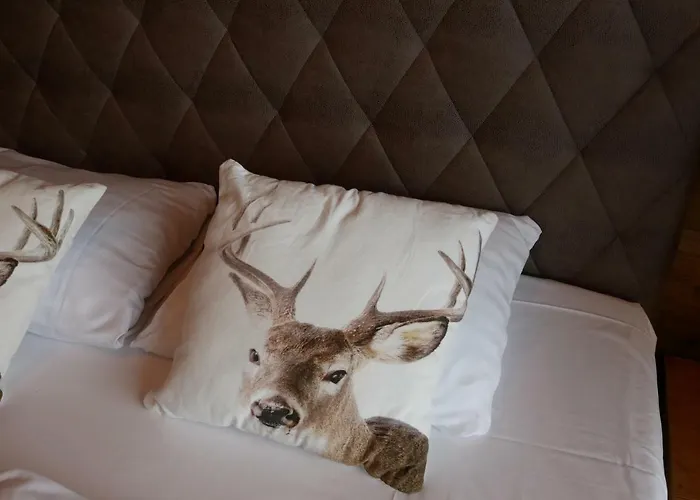 شقة مايسكوغل